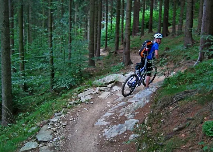 Bumbálka Prázdninový dům